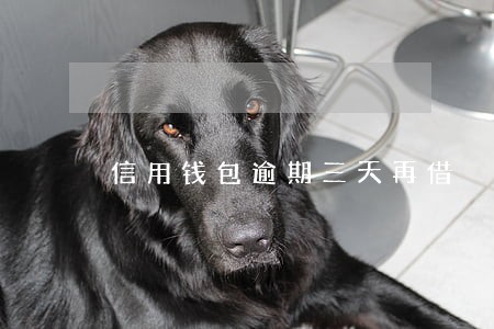 信用钱包逾期三天再借 信用钱包逾期三天再借
