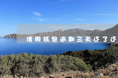 信用钱包逾期三天还了还能借吗 信用钱包逾期三天还了还能借吗