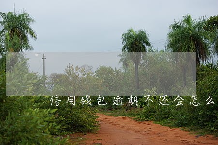 信用钱包逾期不还会怎么样 信用钱包逾期不还会怎么样