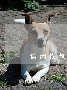 信用钱包逾期不还可以吗 信用钱包逾期不还可以吗