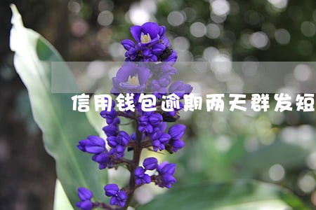 信用钱包逾期两天群发短信 信用钱包逾期两天群发短信