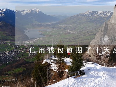 信用钱包逾期了十天后果严重吗