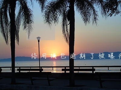 信用钱包逾期了被曝光 信用钱包逾期了被曝光