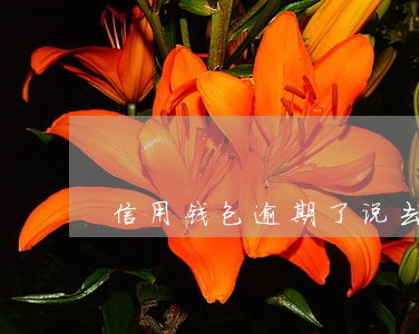 信用钱包逾期了说去户籍地