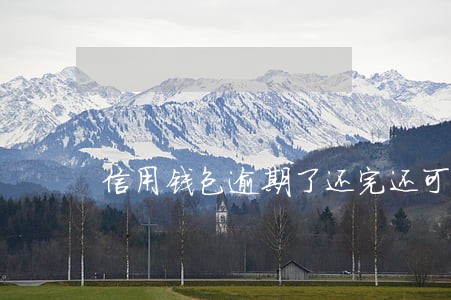 信用钱包逾期了还完还可以借吗 信用钱包逾期了还完还可以借吗
