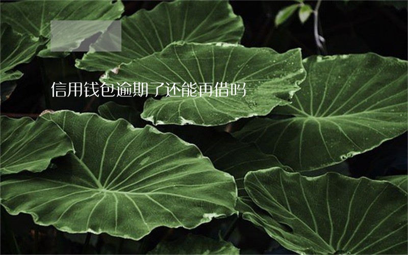 信用钱包逾期了还能再借吗 信用钱包逾期了还能再借吗