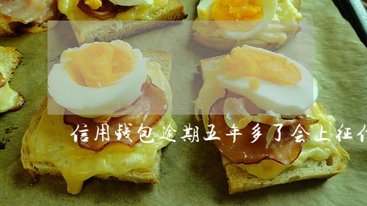 信用钱包逾期五年多了会上征信吗 信用钱包逾期五年多了会上征信吗