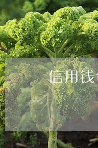 信用钱包逾期会上门么