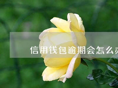 信用钱包逾期会怎么办 信用钱包逾期会怎么办