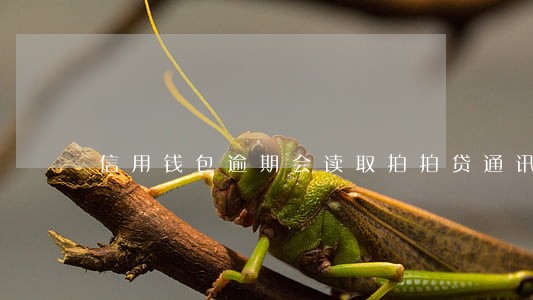 信用钱包逾期会读取拍拍贷通讯 信用钱包逾期会读取拍拍贷通讯