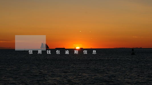 信用钱包逾期信息 信用钱包逾期信息