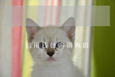 信用钱包逾期再借 信用钱包逾期再借
