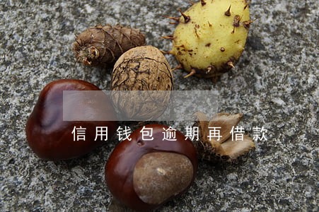信用钱包逾期再借款 信用钱包逾期再借款
