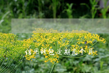 信用钱包逾期几个月 信用钱包逾期几个月