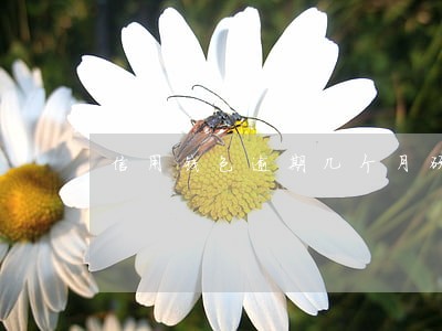 信用钱包逾期几个月硕转让了 信用钱包逾期几个月硕转让了
