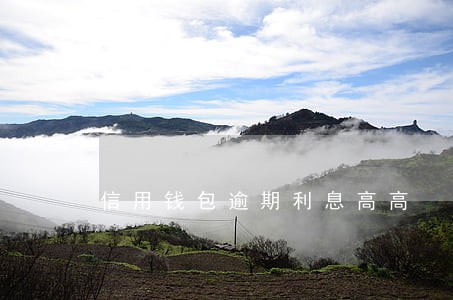 信用钱包逾期利息高高 信用钱包逾期利息高高