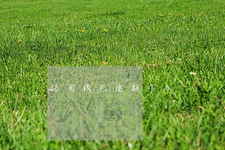 信用钱包逾期咋办 信用钱包逾期咋办