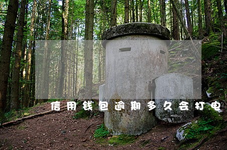 信用钱包逾期多久会打电话