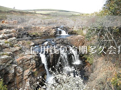 信用钱包逾期多久会打联系人 信用钱包逾期多久会打联系人
