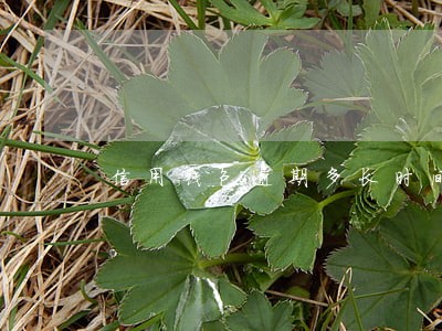 信用钱包逾期多长时间上门 信用钱包逾期多长时间上门