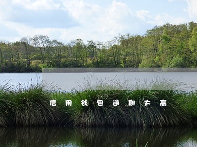 信用钱包逾期太高