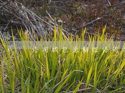信用钱包逾期征信记录查询 信用钱包逾期征信记录查询