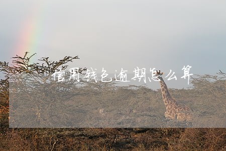 信用钱包逾期怎么算 信用钱包逾期怎么算