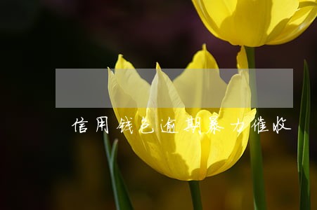 信用钱包逾期暴力催收 信用钱包逾期暴力催收