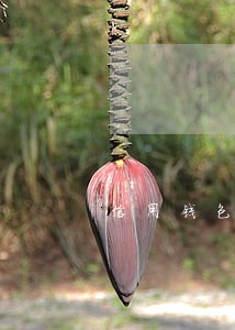 信用钱包逾期查询 信用钱包逾期查询