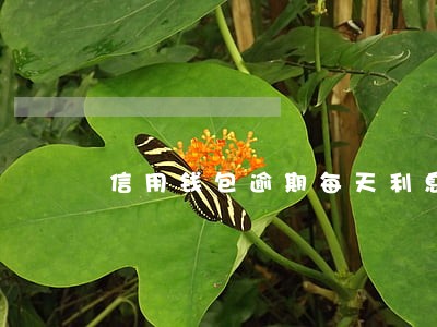 信用钱包逾期每天利息吗 信用钱包逾期每天利息吗