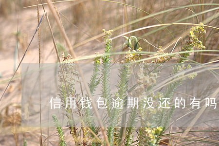 信用钱包逾期没还的有吗 信用钱包逾期没还的有吗