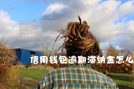 信用钱包逾期滞纳金怎么算 信用钱包逾期滞纳金怎么算