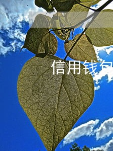 信用钱包逾期爆通讯录 信用钱包逾期爆通讯录