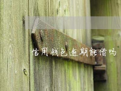 信用钱包逾期能借吗 信用钱包逾期能借吗