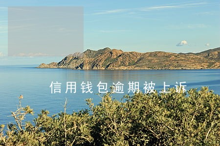 信用钱包逾期被上诉 信用钱包逾期被上诉
