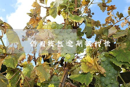 信用钱包逾期被代偿