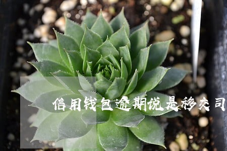信用钱包逾期说是移交司法部门 信用钱包逾期说是移交司法部门