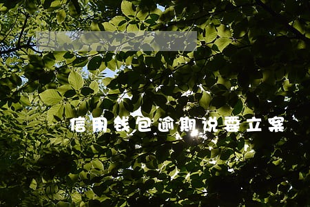 信用钱包逾期说要立案 信用钱包逾期说要立案