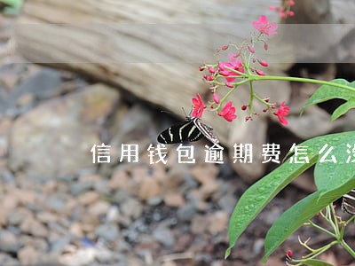 信用钱包逾期费怎么没啦 信用钱包逾期费怎么没啦