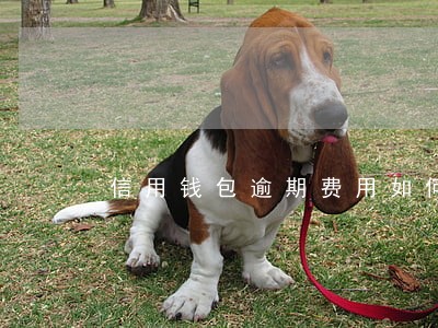 信用钱包逾期费用如何计算 信用钱包逾期费用如何计算