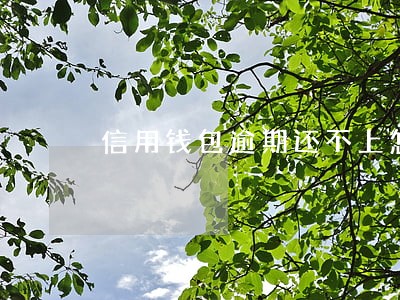 信用钱包逾期还不上怎么办 信用钱包逾期还不上怎么办