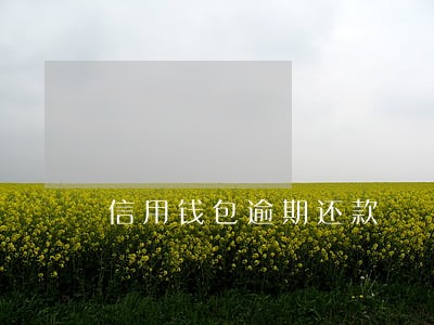 信用钱包逾期还款 信用钱包逾期还款