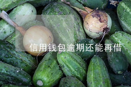 信用钱包逾期还能再借