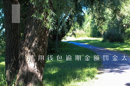 信用钱包逾期金额罚金太吓人了 信用钱包逾期金额罚金太吓人了