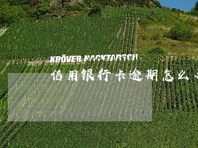 信用银行卡逾期怎么办 信用银行卡逾期怎么办