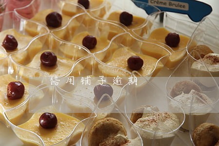 信用铺子逾期 信用铺子逾期