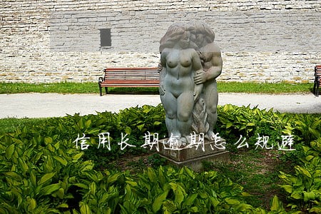 信用长期逾期怎么规避 信用长期逾期怎么规避