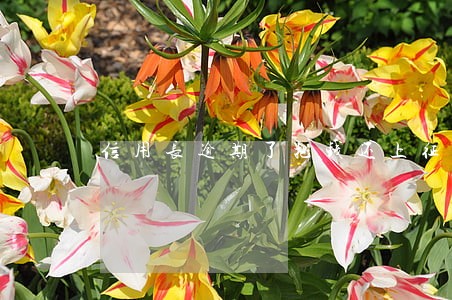 信用长逾期了把钱还上征信还有吗 信用长逾期了把钱还上征信还有吗