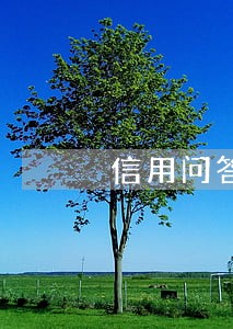 信用问答逾期修复 信用问答逾期修复