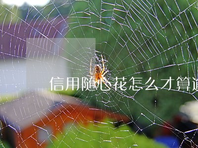 信用随心花怎么才算逾期 信用随心花怎么才算逾期